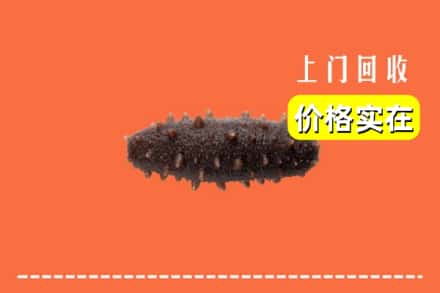 西安市长安回收海参