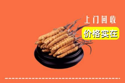 西安市长安回收冬虫夏草