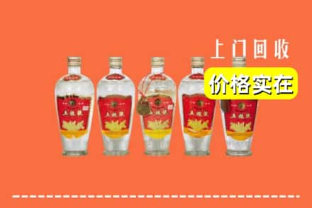 诚信求购:西安市长安高价回收老五粮液